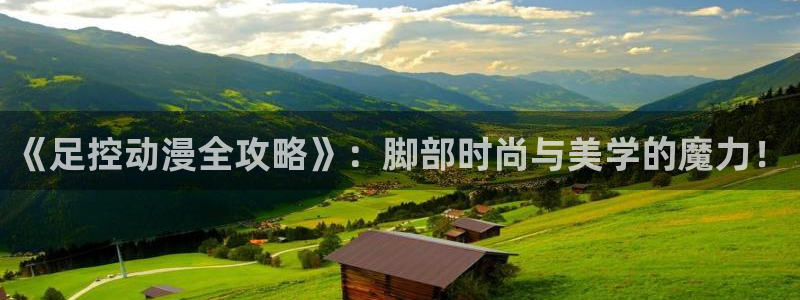 风车动漫里番