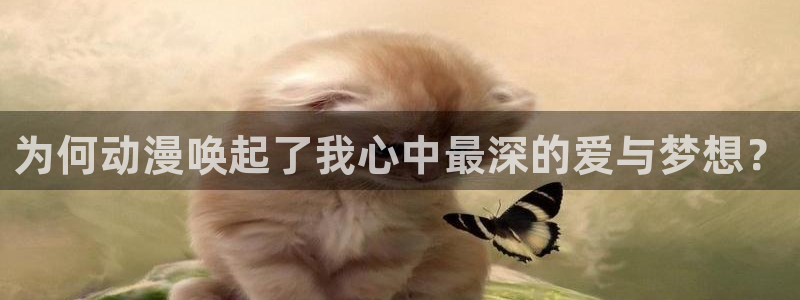 风车动漫首页网站