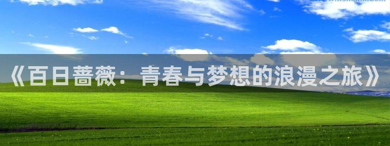 风车动漫p_专注动漫
