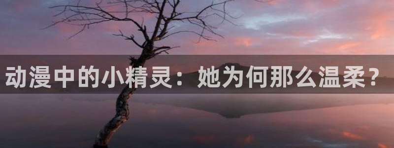 风车动漫w