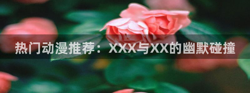 风车动漫是什么