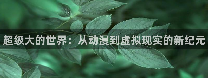 风车动漫视频下载
