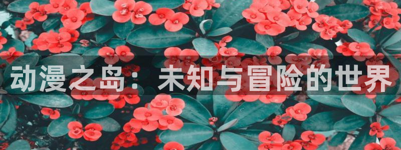 风车动漫应用：动漫之岛：未知与冒险的世界