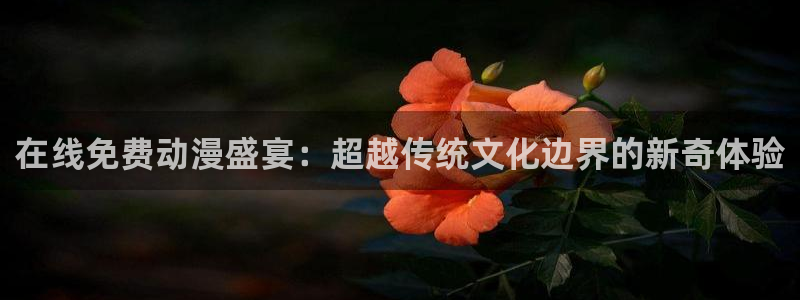 风车动漫网app下载：在线免费动漫盛宴：超越传统文化边界的新奇体验