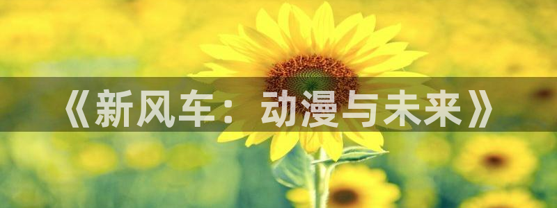 大王饶命风车动漫：《新风车：动漫与未来》