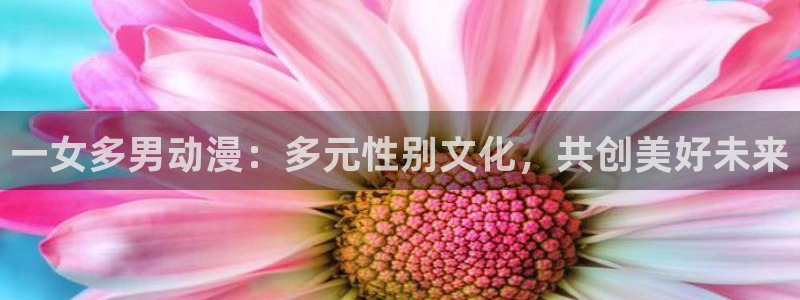 风车动漫o：一女多男动漫：多元性别文化，共创美好未来