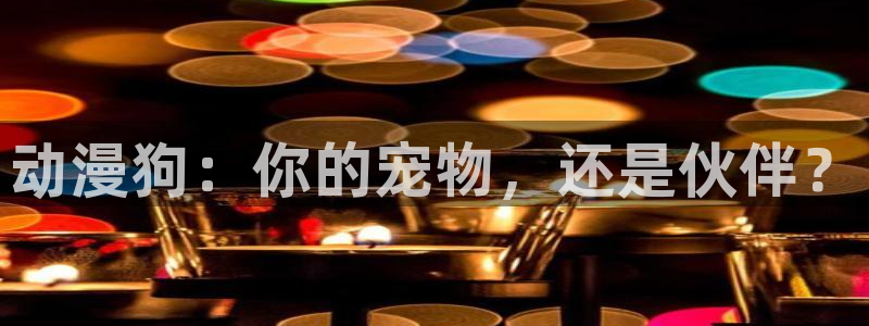 风车动漫下：动漫狗：你的宠物，还是伙伴？