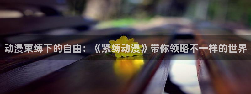 风车动漫官网在线观看：动漫束缚下的自由：《紧缚动漫》带你领略不一样的世界