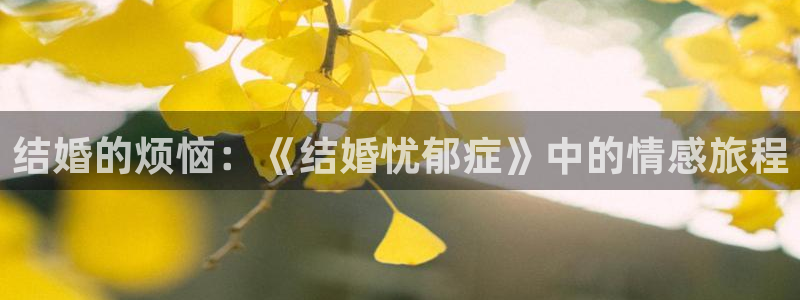 风车动漫(p)_在线官网：结婚的烦恼：《结婚忧郁症》中的情感旅程