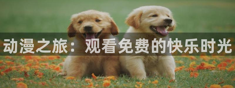 风车动漫 手机：动漫之旅：观看免费的快乐时光