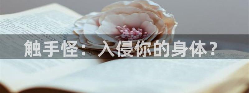 风车动漫官网官方入门网站