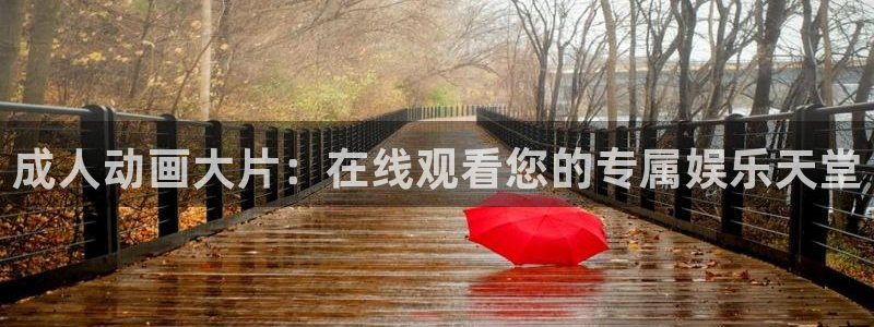 风车动漫手机官网