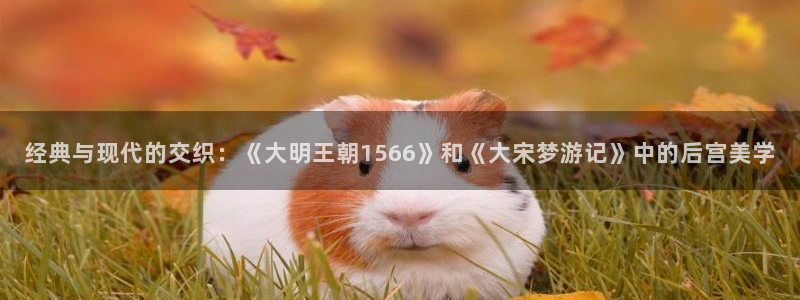 风车动漫官方网站