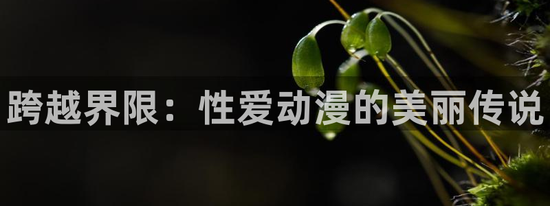 风车动漫530专注动漫的门户网站