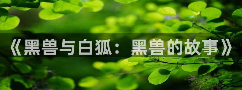 纯白轮舞曲风车动漫