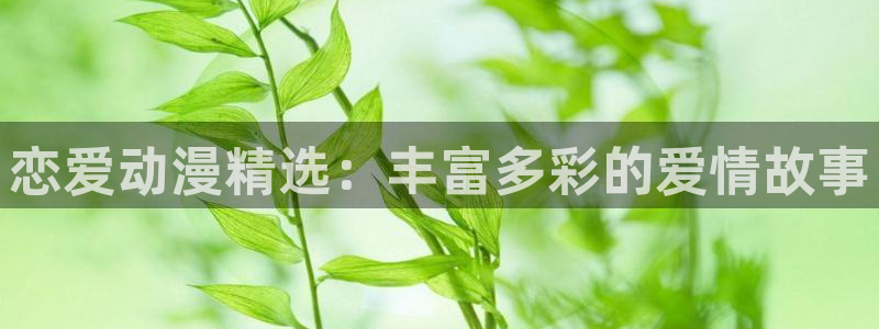 我独自升级动漫风车动漫