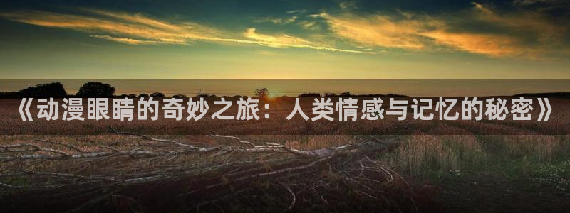 风车动漫在线免费观看
