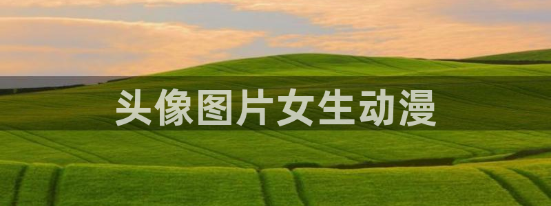 风车动漫手机版网