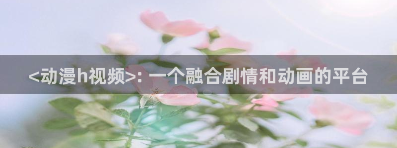风车动漫网址首页