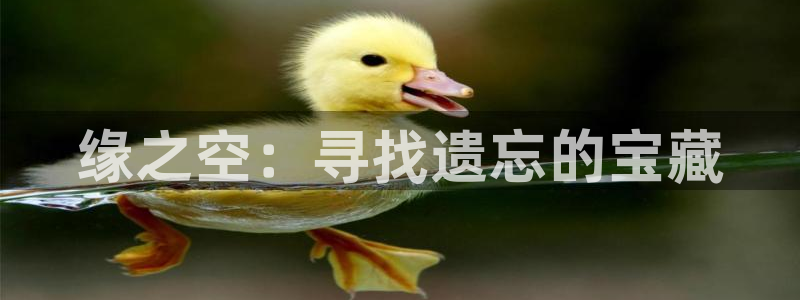 风车动漫网官网