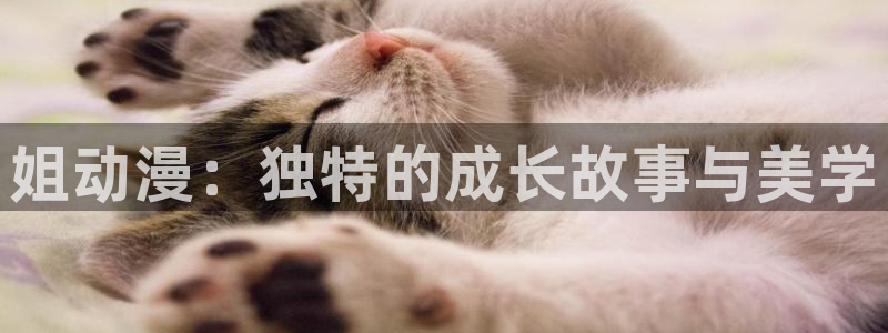 风车动漫专注动漫门户