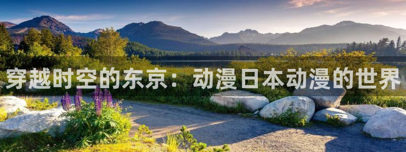 风车动漫在线观看网