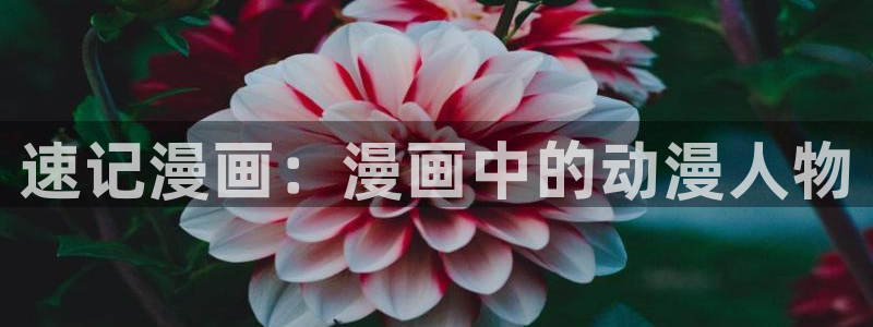 樱花风车动漫在线免费看