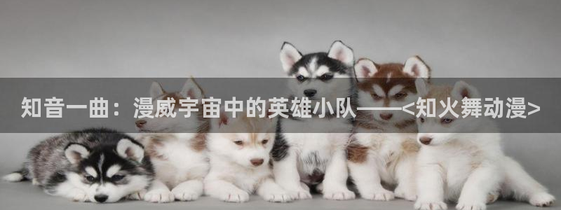 风车动漫_专注动漫的网站