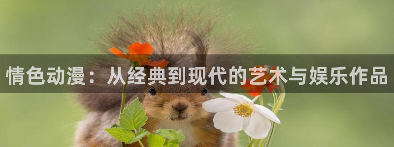 海贼王在线观看全集免费风车动漫