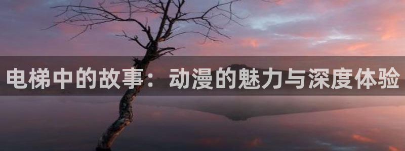 风车动漫免费