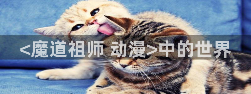 风车动漫网官网在线