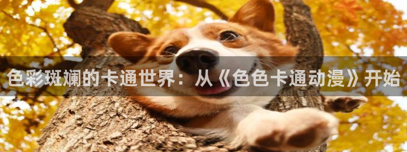 风车动漫官网在线下载