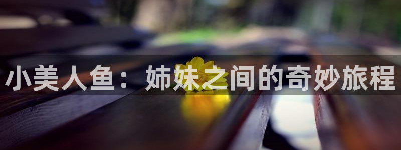 风车动漫海贼王