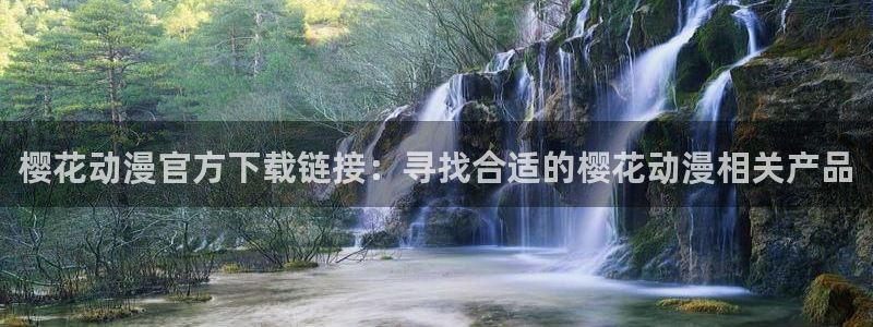 宝可梦地平线风车动漫