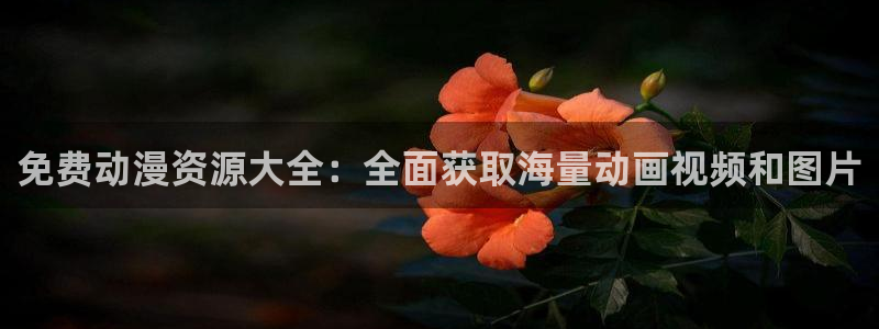 风车动漫网站手机版下载