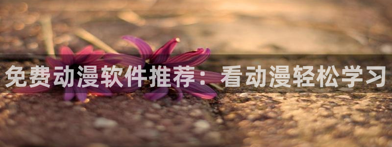国家队02风车动漫：免费动漫软件推荐：看动漫轻松学习