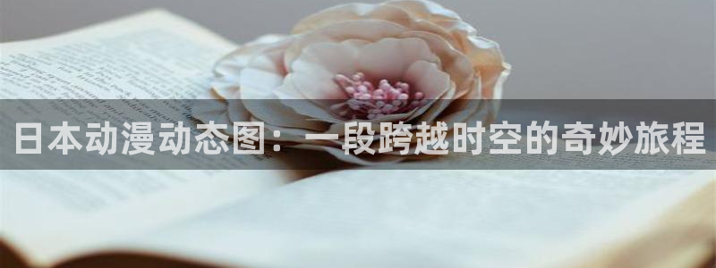 在线风车动漫网站入口：日本动漫动态图：一段跨越时空的奇妙旅程