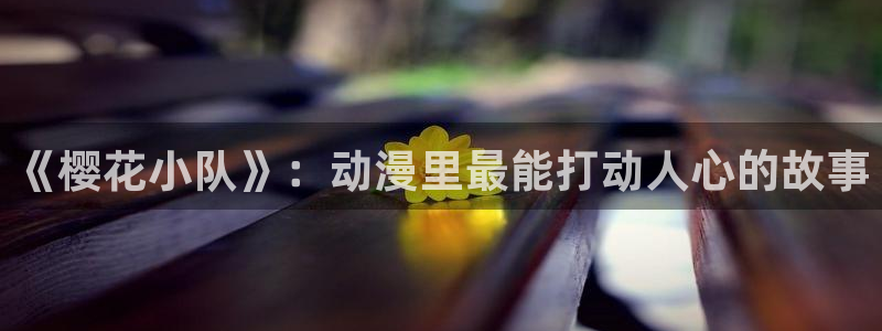 风车动漫在线观看免费全集