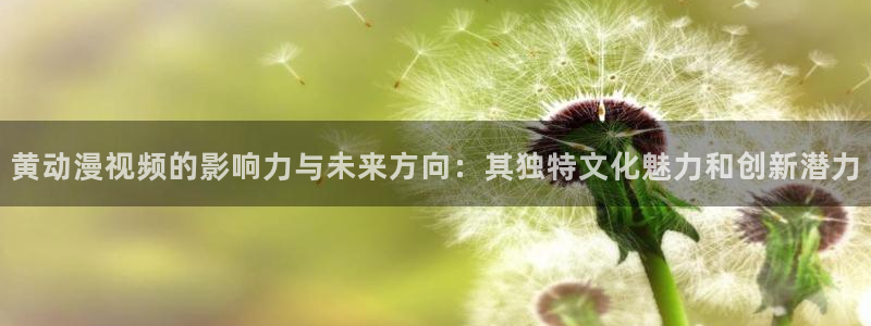 死亡笔记风车动漫