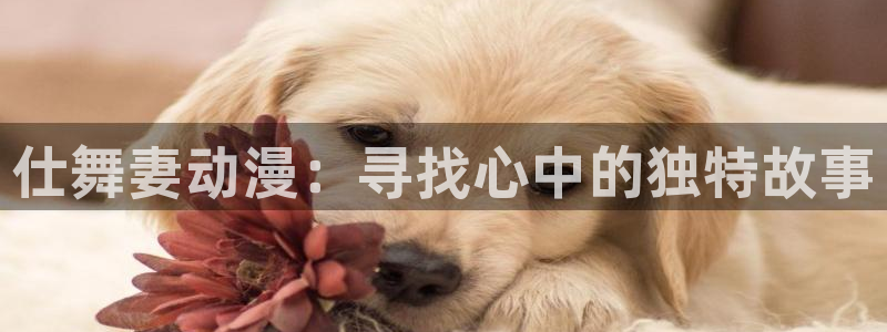 风车动漫网肉片