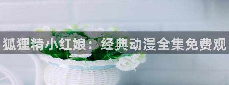 风车动漫里漫：狐狸精小红娘：经典动漫全集免费观