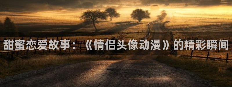 风车动漫专注动漫的网：甜蜜恋爱故事：《情侣头像动漫》的精彩瞬间