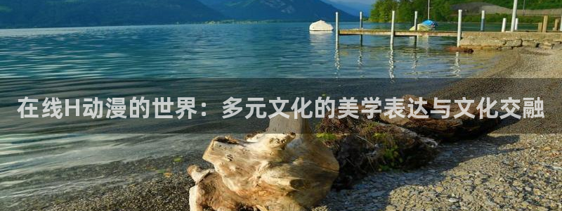 风车动漫专注的门户网站-专注的门户：在线H动漫的世界：多元文化的美学表达与文化交融